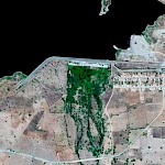 Gasparino on Google Earth